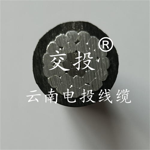 www.clzjd.cn